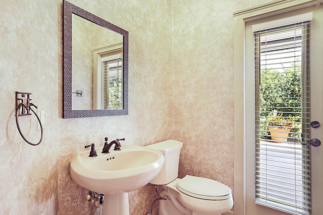 227 Shorewood Way, Jupiter, FL 33458 - half bath with toilet, plenty of natural light, and wallpapered walls