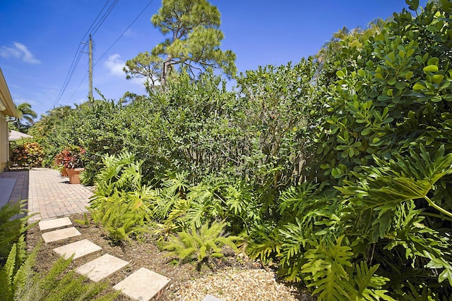 227 Shorewood Way, Jupiter, FL 33458 - view of yard