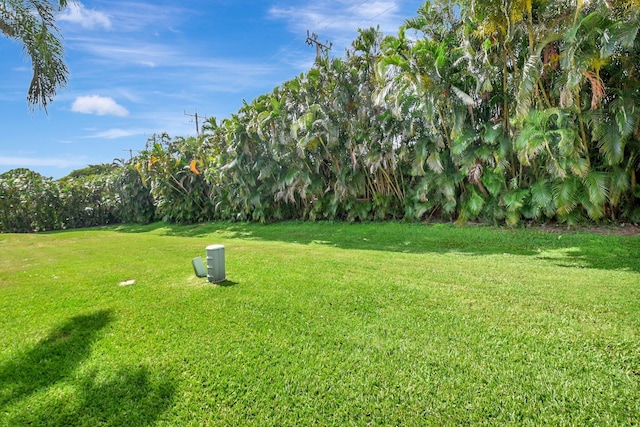 view of grassy yard