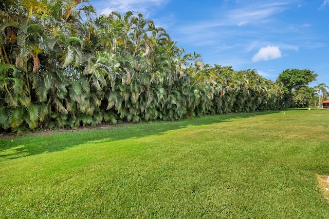 view of grassy yard