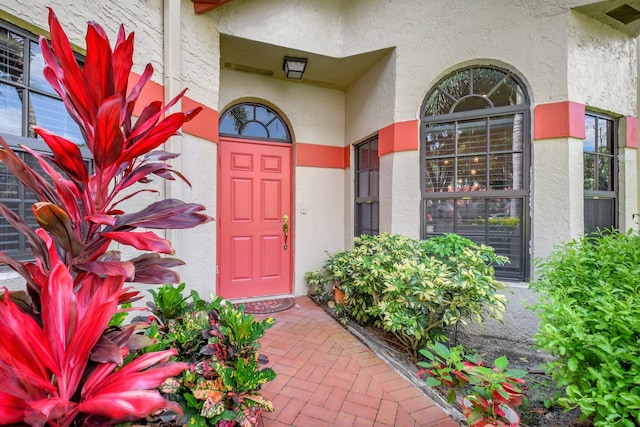 doorway to property featuring stucco siding