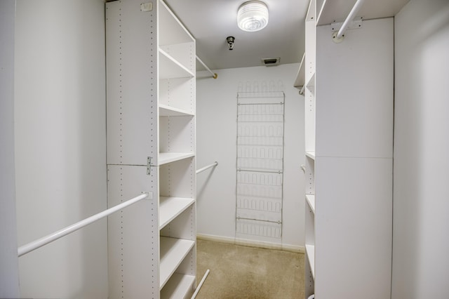 123 Lakeshore Dr Unit 1644, North Palm Beach, FL 33408 - spacious closet with light carpet