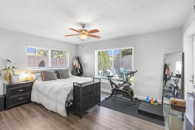 bedroom with wood finished floors, multiple windows, baseboards, and a ceiling fan