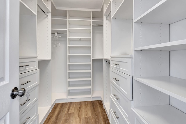 spacious closet with wood finished floors