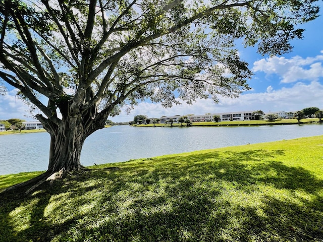water view