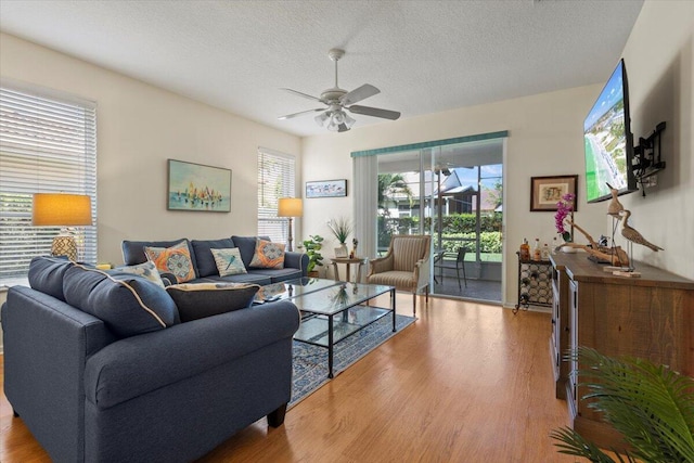 living area featuring wood finished floors, healthy amount of natural light, ceiling fan, and a textured ceiling