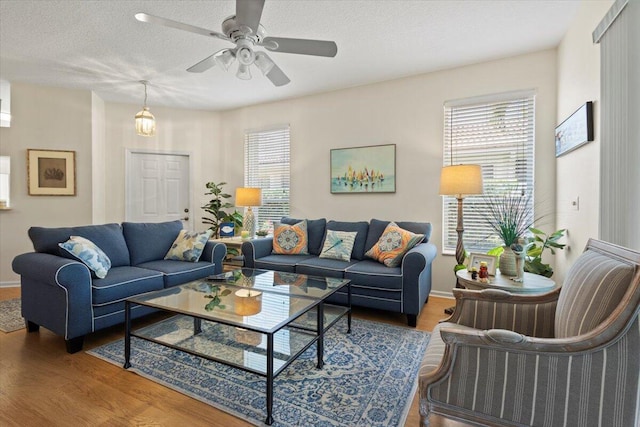 living area featuring wood finished floors, baseboards, healthy amount of natural light, and a textured ceiling