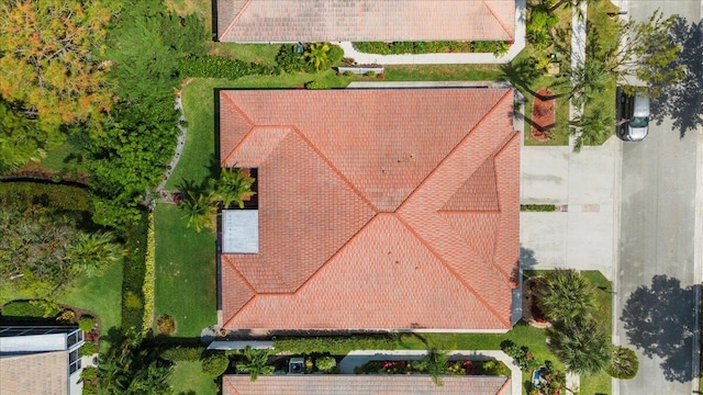 bird's eye view