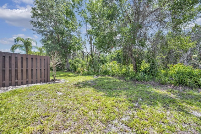 view of yard