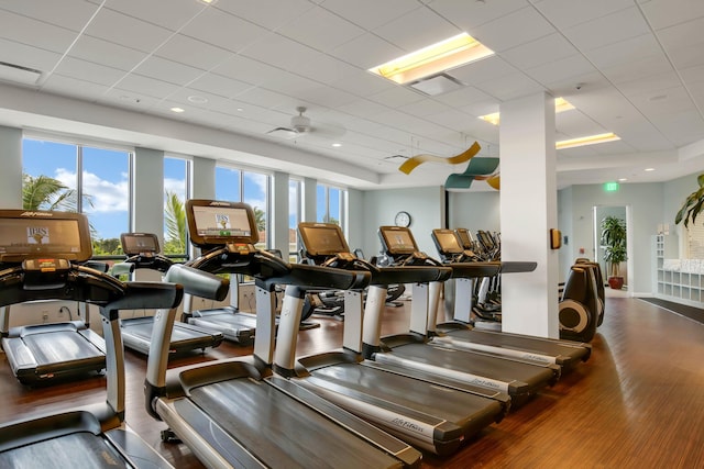 gym with wood finished floors and a drop ceiling