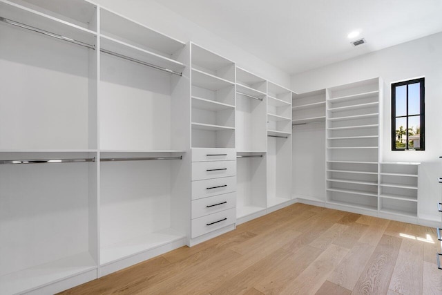 1105 NE 2nd Ave, Delray Beach, FL 33444 - spacious closet with light wood-type flooring