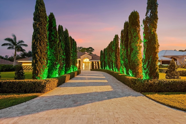 view of home's community featuring decorative driveway