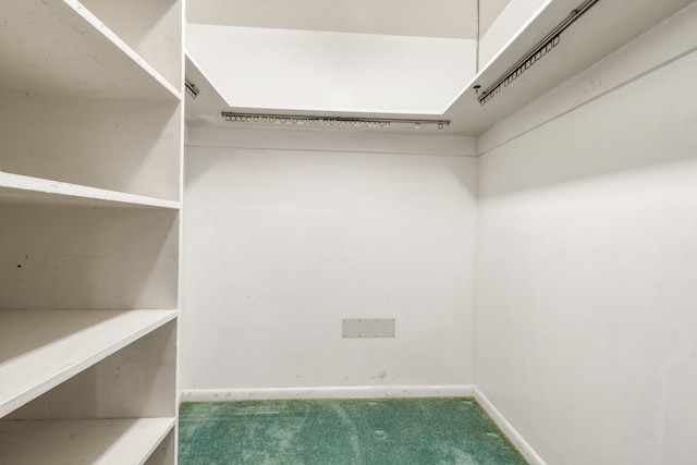 spacious closet featuring carpet