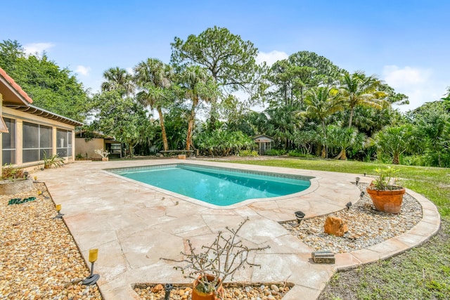 swimming pool featuring a patio area, a sunroom, and view of wooded area