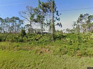 14027 Barbet Ln, Port Charlotte, FL 33981