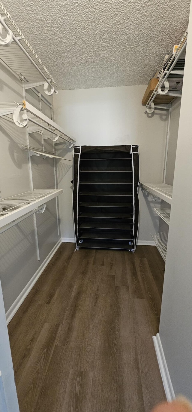 walk in closet featuring dark wood-type flooring