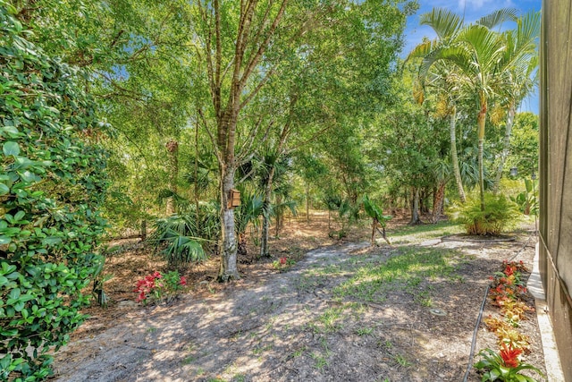 1236 SE Conference Cir, Stuart, FL 34997 - view of yard