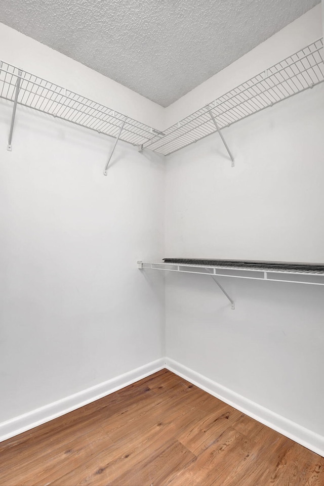 walk in closet featuring wood finished floors
