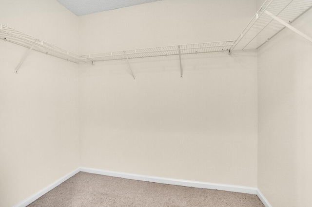 8074 Stirrup Cay Ct, Boynton Beach, FL 33436 - spacious closet featuring light carpet