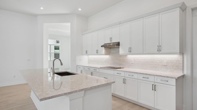 9143 SW Esule Way, Port Saint Lucie, FL 34987 - kitchen featuring a sink, under cabinet range hood, light wood-type flooring, decorative backsplash, and recessed lighting