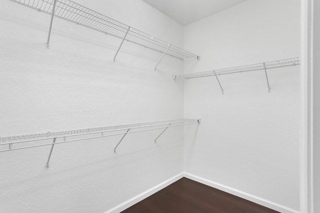 walk in closet featuring dark wood-style flooring