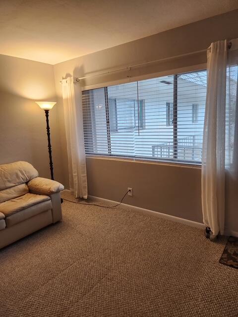 3362 Cynthia Ln Unit 211, Lake Worth Beach, FL 33461 - living room featuring carpet floors, healthy amount of natural light, and baseboards