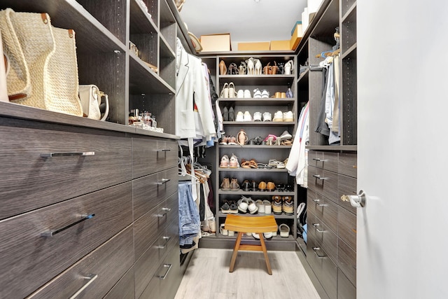 spacious closet featuring wood finished floors