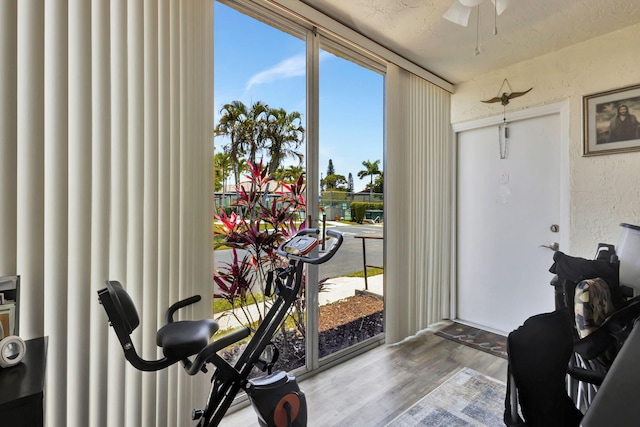 workout area featuring wood finished floors, a ceiling fan, and a textured wall