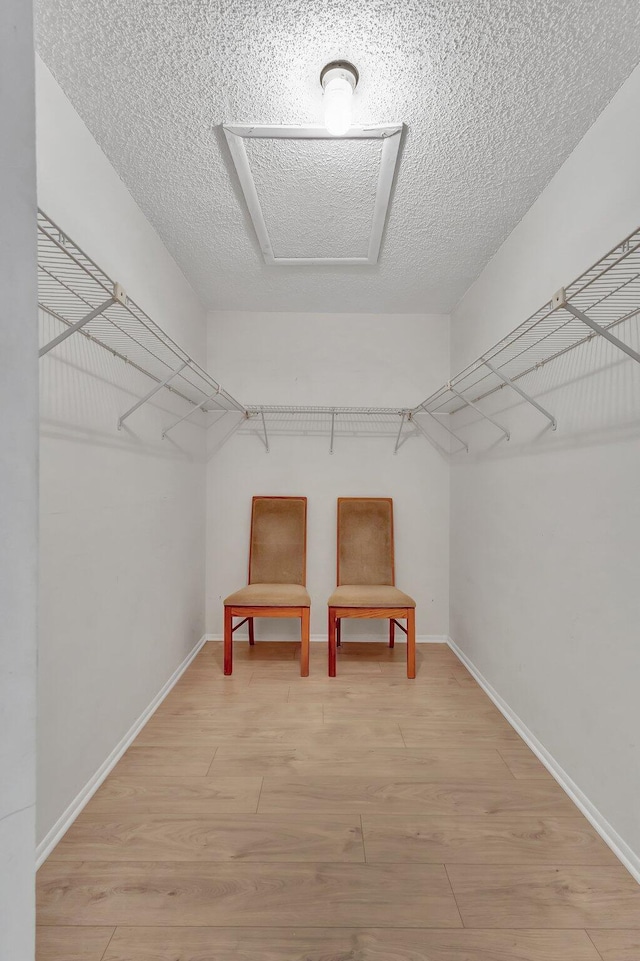 walk in closet with light wood-style floors
