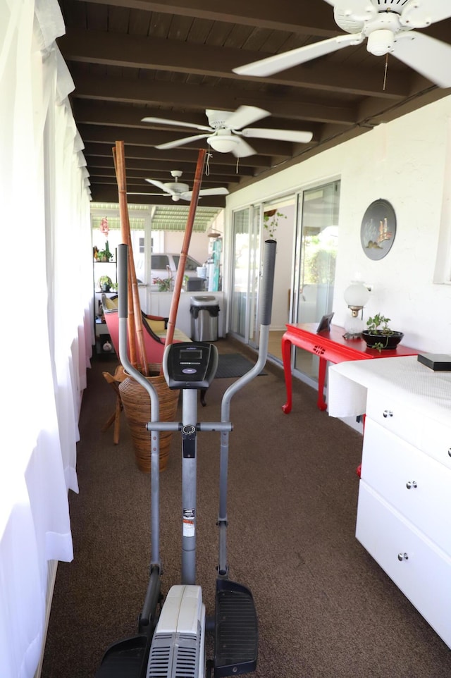 521 Sandpiper Cir, Delray Beach, FL 33445 - exercise room featuring a ceiling fan, plenty of natural light, and carpet floors