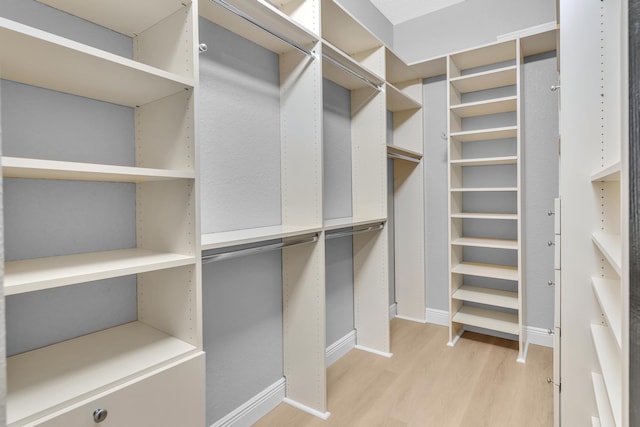 14838 Strand Ln, Delray Beach, FL 33446 - walk in closet featuring light wood finished floors