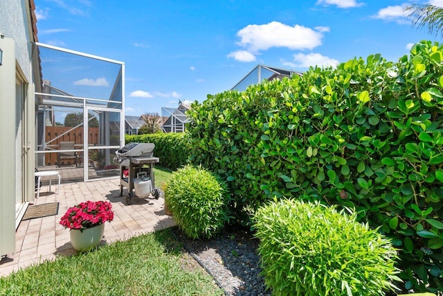 view of yard with a patio area and a lanai