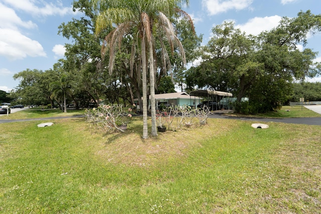 7302 Banyan St, Fort Pierce, FL 34951 - view of green lawn with a carport