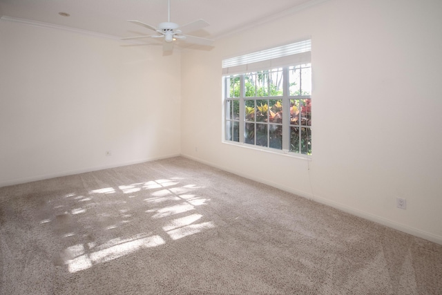 empty room with carpet floors, crown molding, a ceiling fan, and baseboards