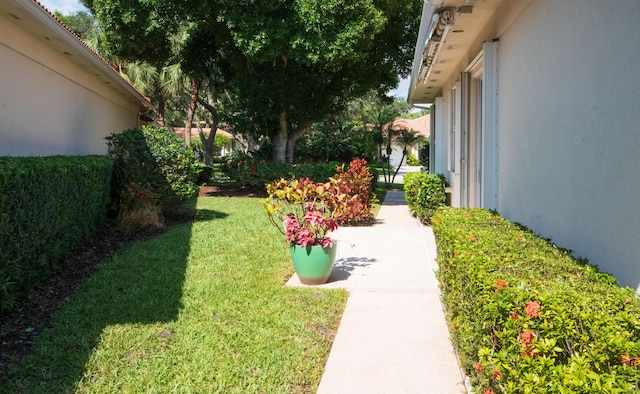 view of green lawn