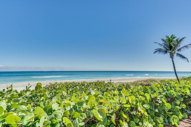 water view with local beach