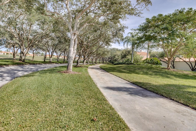 view of community featuring a lawn