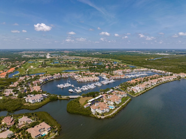 aerial perspective of suburban area featuring a large body of water