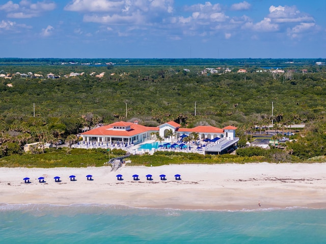 drone / aerial view of a forest and unending shoreline