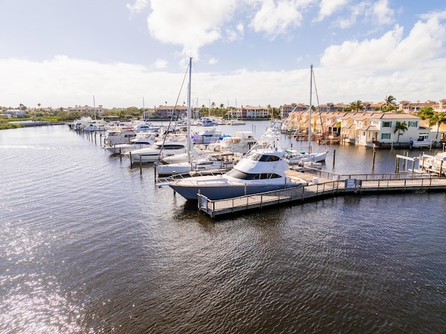 dock area with a water view