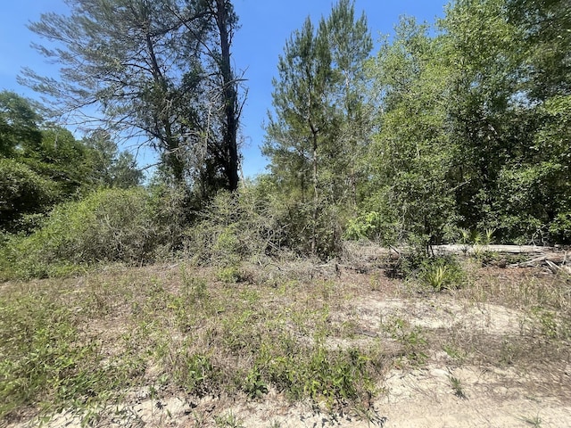 TBD NE 170th Ct, Silver Springs, FL 34488
