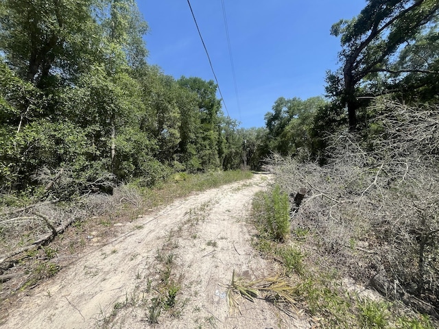 TBD NE 170th Ct, Silver Springs, FL 34488
