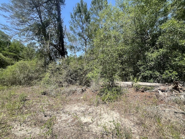 TBD NE 170th Ct, Silver Springs, FL 34488