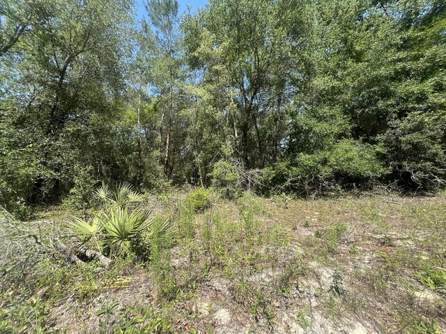 TBD NE 170th Ct, Silver Springs, FL 34488