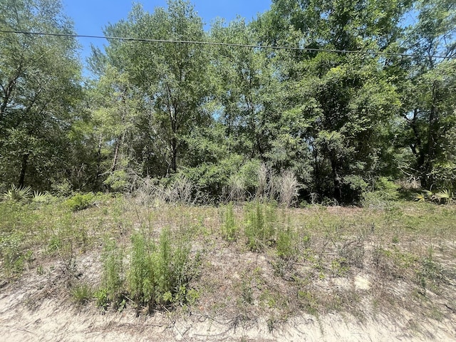 TBD NE 170th Ct, Silver Springs, FL 34488