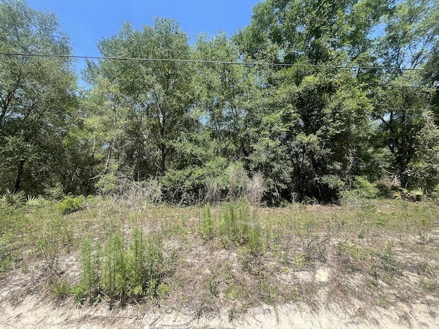 TBD NE 170th Ct, Silver Springs, FL 34488