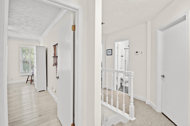 2414 SW Love Ct, Palm City, FL 34990 - hallway with a textured ceiling, crown molding, baseboards, and light wood-style floors