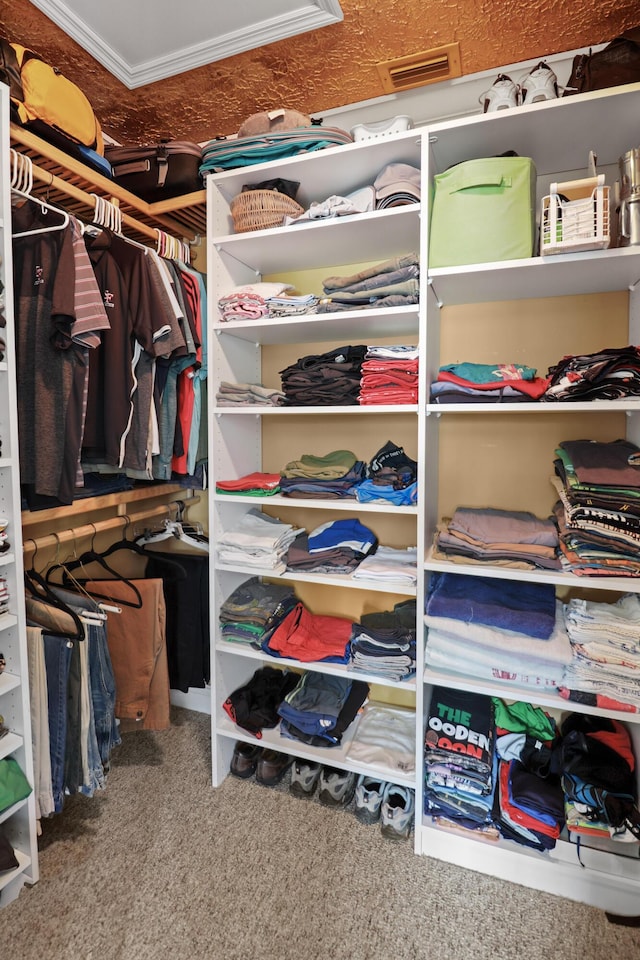 2414 SW Love Ct, Palm City, FL 34990 - spacious closet with carpet and attic access