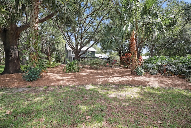 2414 SW Love Ct, Palm City, FL 34990 - view of yard