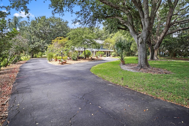 2414 SW Love Ct, Palm City, FL 34990 - view of asphalt driveway
